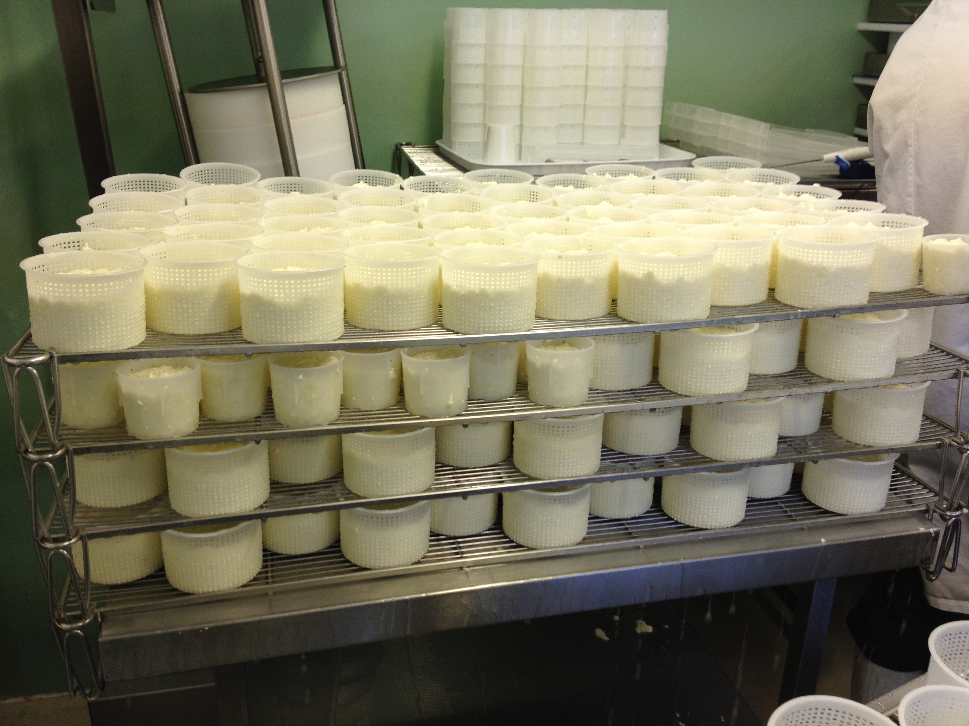 Фуд нальчик. Сыр производство ОАЭ. Cheese Production. Сыр производство Cavio. Remnant Cheese Prodaction.