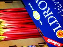 Yorkshire Forced Rhubarb - an amazing local product with a fascinating history