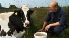 The Food Standards Agency abandons raw milk prosecution – did the penny finally drop?